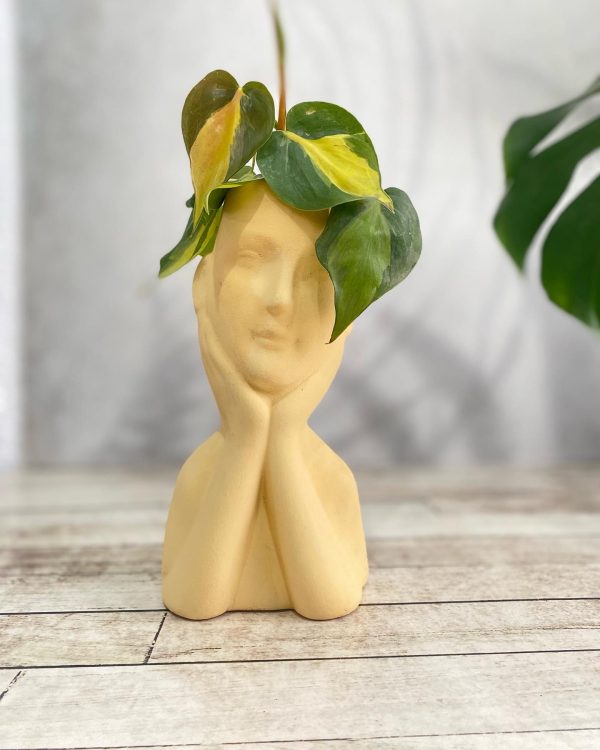 Busto - Imagen 4