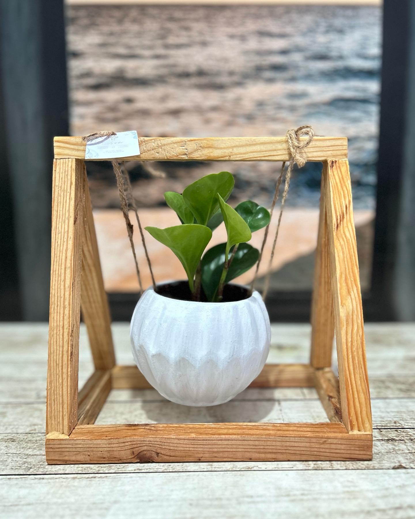 Decoración de interior/ Centro de mesa