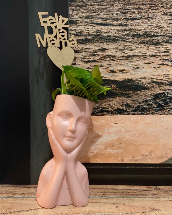 Busto - Imagen 2